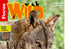 Focus Wild