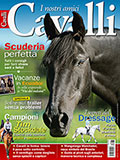 I Nostri Amici Cavalli