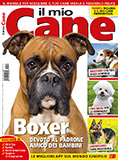 Il Mio Cane