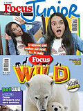 Focus Junior + Focus Wild