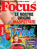 Focus + Focus Junior