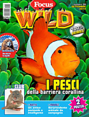 Focus Wild