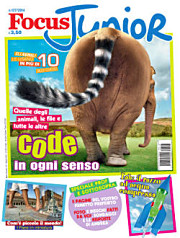 Focus Junior