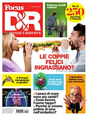 Focus Domande e Risposte