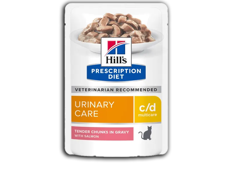 hills prescription diet cibo umido gatti
