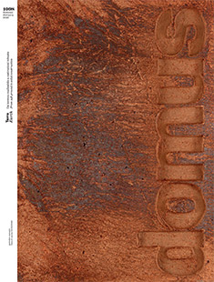 item image cover