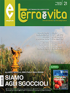 Abbonamento Rivista Terra e Vita in offerta