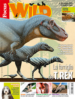 Abbonamento Focus Wild rivista per bambini e ragazzi in offerta