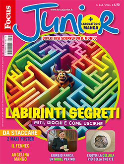 Cover rivista