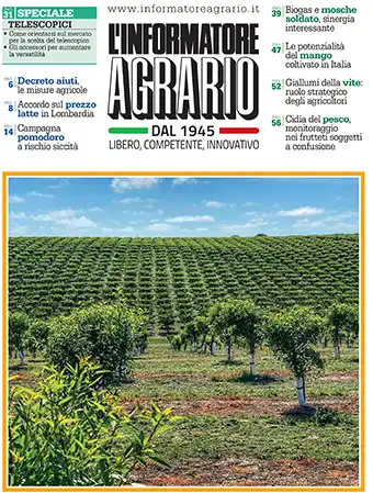 COVER L'Informatore Agrario