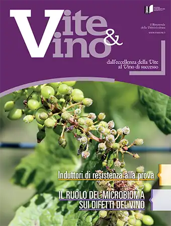 COVER Vite & Vino