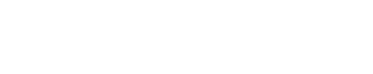 Logo WORLD SERVIZI EDITORIALI SRL